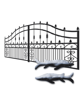 Pisces Metal Gates